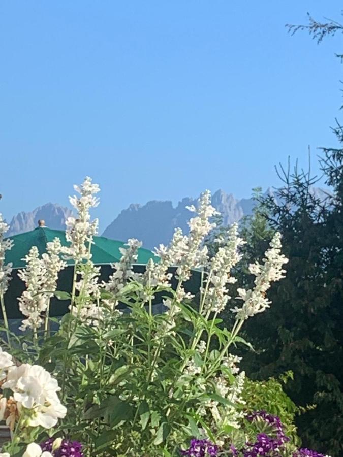 Pension Hinterseer Kitzbuhel Exterior photo